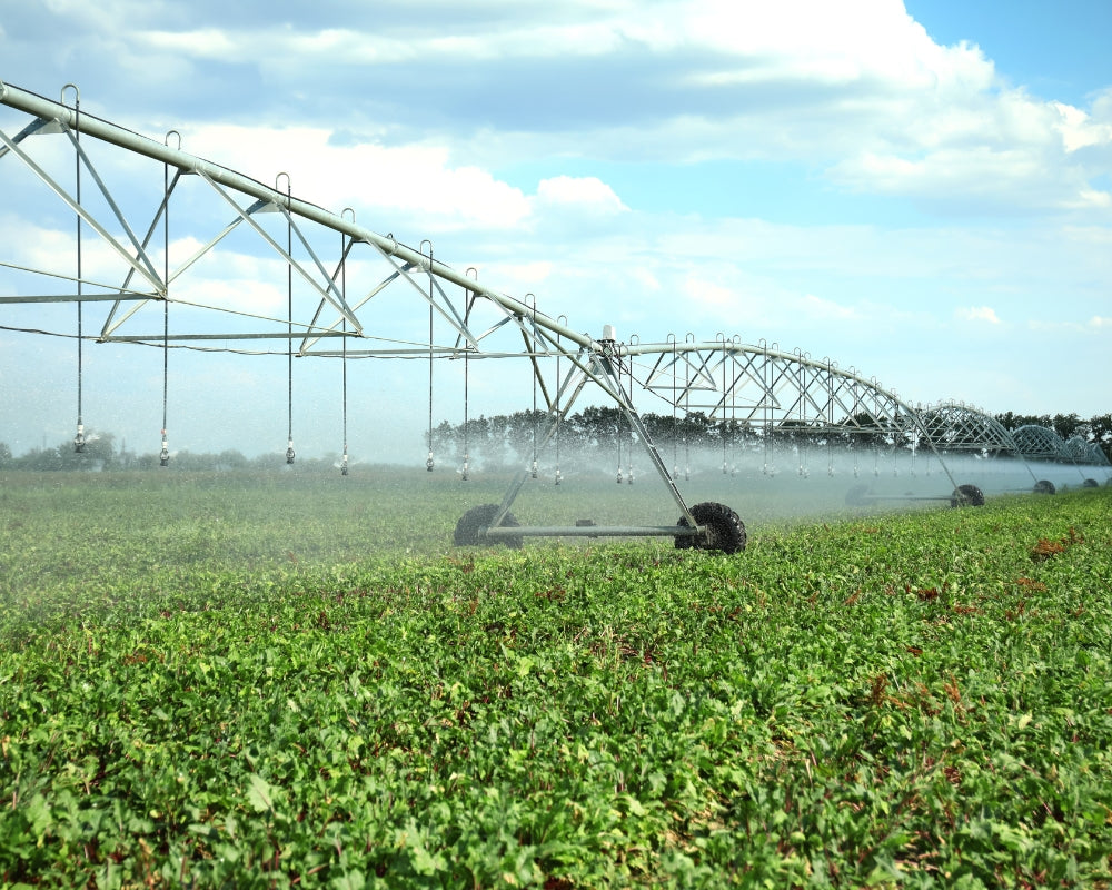 Pioneering Irrigation Systems
